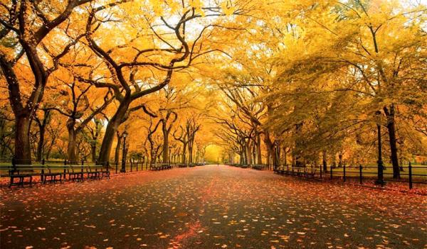 Autumnal là gì? Autumnal là gì?