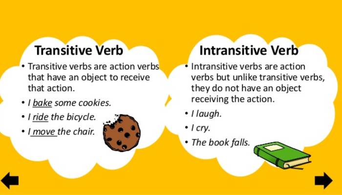 Action verb (động từ hành động) là gì 1 Nội đông tư và ngoại động từ