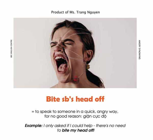 Idioms Diễn Tả Sự Giận Dữ Trong Tiếng Anh 3 Diễn tả sự giận dữ trong Tiếng Anh